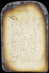 Petition of burgomasters and schepens of New Amsterdam for the convocation of delegates from all the Dutch towns