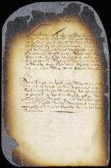 Declaration of a Hackingsack Indian as to the intention of the Nevesinck chief to sell his lands to the English of Gravesend