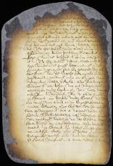 Petition of Cornelis Steenwyck and Jacques Cousseau for an exemption from the heavy duty imposed on a cargo of salt