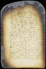 Order on a petition of rev. Mr. Selyns allowing him to receive payment of his salary in beavers at 7 guilders each, and in wampum at 3 for 1