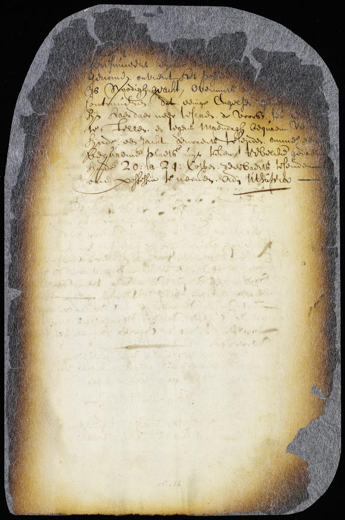 Resolution to despatch a military force to the Newesincx