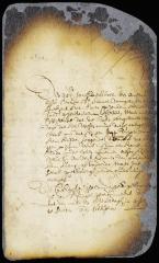 Commitment of Jan Boeckholt de Nosper
