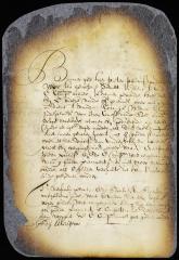Order for the payment of arrears due to Peter Paulusen van der Welster