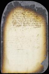Resolution to despatch a military force to the Newesincx