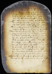 Protest of Jeremiah van Renselaer against any grant of lands or islands within the colonie of Renselaerswyck