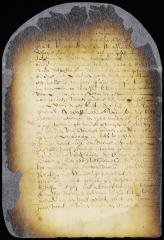 Sentence of Jan Willemsen van Iselsteyn, commonly called Jan of Leyden