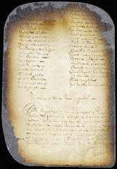 Order of court at Fort Orange referring the petition of inhabitants of Fort Orange to the director and council