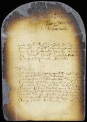 Order to the surveyor-general to lay out the lands of Schanheghtede