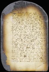 Petition of delegates from Fort Orange and Beverwyck in support of the  petition of inhabitants of Fort Orange