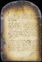 Conditions on which the director and council propose to sell a lot of slaves to the highest bidder