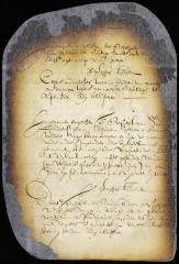 Order on the petition of Sander Leendertsen Glen, William Teller and Harmen Vedder