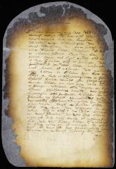 Petition of Paulus Cornelissen and Jan Cornelissen van der Heyden of behalf of Marietje Meynderts, widow of Jan Barents Wemp