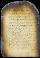 Petition of Jan Tomassen and Volckert Jansen that they may be protected in the right to the land of Schotack