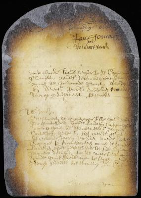 Order to the surveyor-general to lay out the lands of Schanheghtede