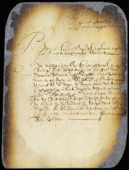 Order on the petition of Isaac Gerritse Schaep
