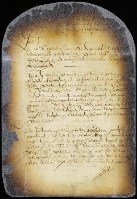 Conditions on which the director and council propose to sell a lot of slaves to the highest bidder