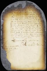 Order to magistrates of Wiltwyck to inquire into the affair of Marietje Meynderts
