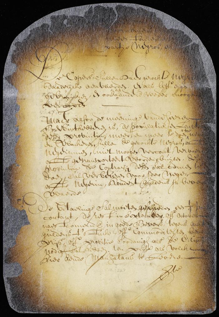 Conditions on which the director and council propose to sell a lot of slaves to the highest bidder