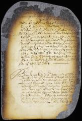 Certificate of manumission of Domingo Angola and Maykie, his wife