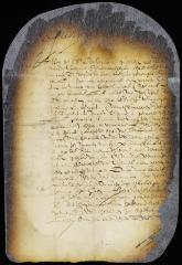 Letter from director and council to Jan Tomassen and Volckert Jansen
