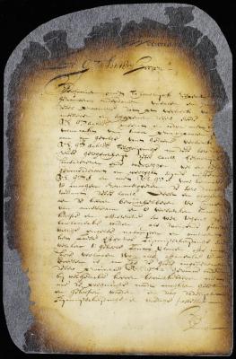 Address of the delegates to the director and council
