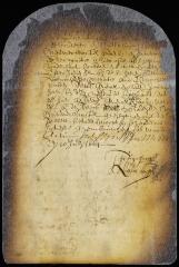 Order on petition of Hendrick Huygen and others