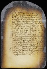 Order that merchants from the South river who desire to carry on trade at New Amsterdam must take out citizenship