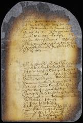 Resolution of the burgomasters to put the city of New Amsterdam in a state of defense