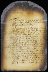 Resolution of the council, etc. on the intelligence furnished to director Stuyvesant by Thomas Willett