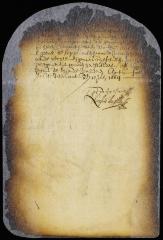 License to purchase land from the Indians to Thomas Powel, Teunis Abrahamsen, and others of Beverwyck