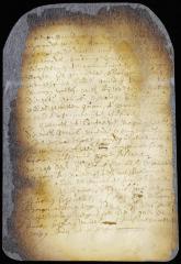 Minute of attendance in council of a delegation from the burghers of New Amsterdam demanding copy of col. Nicolls' letter or the letter itself