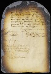 Letter from director and council to the burgomasters, etc., of New Amsterdam