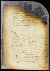 Resolution of director and council to repair to Gravesend on the morrow to decide the boundaries of the town