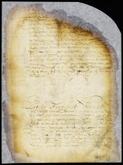 Commission of hon. Nicasius de Sille and Cornelis Tienhoven to proceed to the South river and investigate affairs there