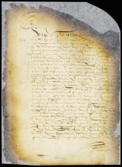 Ordinance of the court of Midwout and Amesfoort obliging the proprietors of houses and lots in Midwout to furnish palisades for defense