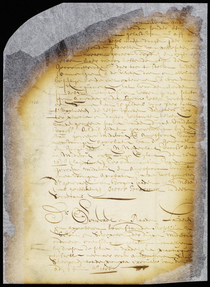 Ratification of ordinance requiring proprietors of land in Midwout to supply palisades by the director and council