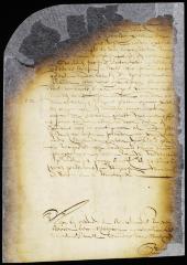 Appointment of Nicasius de Sille to be sheriff of New Amsterdam