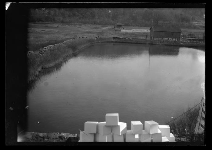 Experimental sea farm at Glen Cove, N.Y.