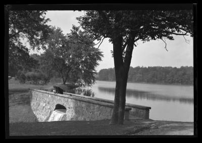 Lily Lake State Park