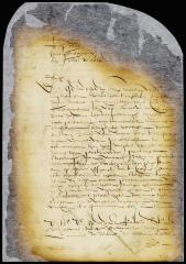 Order requiring Anthony Jansen to run and mark the courses of his bounds