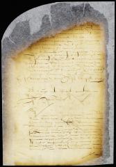 Letter from director and council to Carel van Brugge