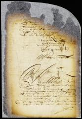 Sentence of Michiel Tadens