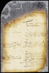 Interrogatories to and answers of Peter Adriaensen and Adriaen Jansen Appel