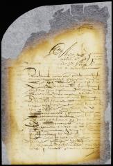 Petition of Michiel Tadens for mitigation of the penalty to which he is subject