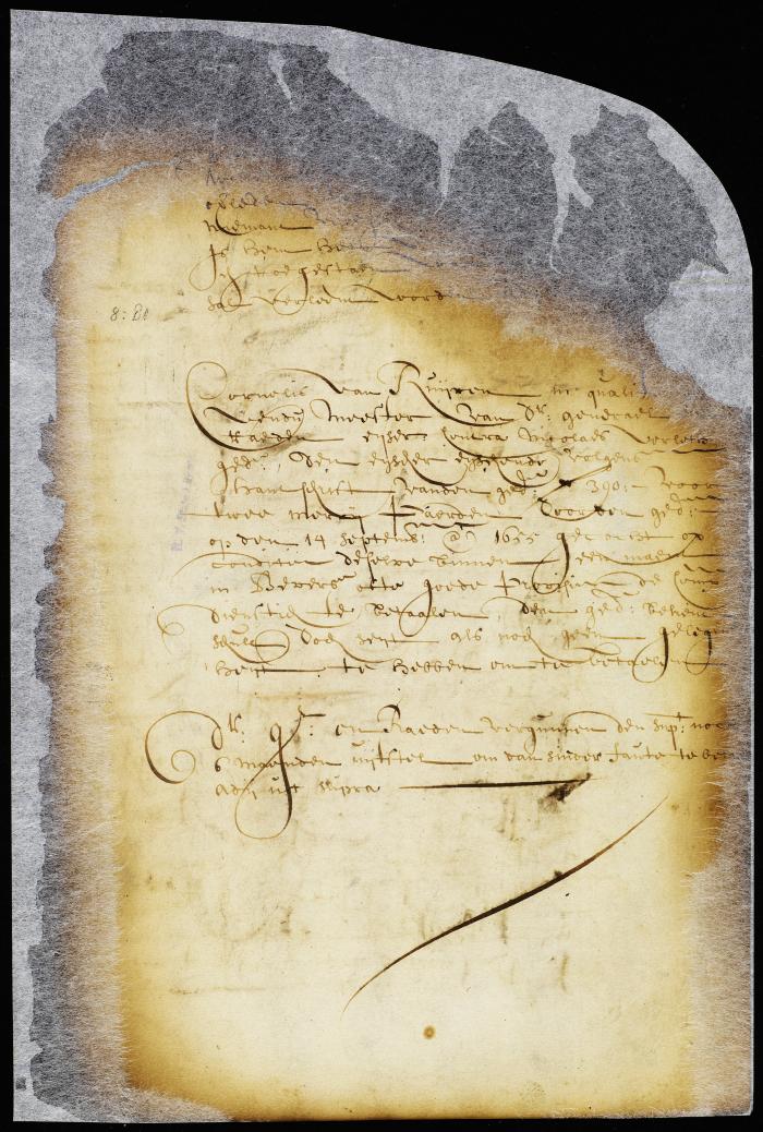 Resolution to grant Jan Catjou a tract of escheated land for a farm