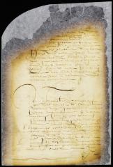 Order to the magistrates of Gravesend to restore Anthony Jansen's cattle