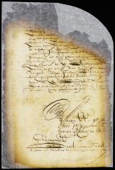 Petition of Michiel Tadens that his sentence of banishment may be commuted to a fine