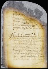 Report of commissioners on the bounds between the town of Gravesend and the lands of Anthony Jansen van Salee