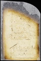 Message from Anthony Jansen informing the director and council that an armed party from Gravesend had driven off and impounded 24 head of his cattle