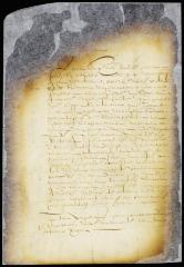 Petition of David Ferara that it was not his intention to appeal from the judgment of the city court but to ask for a remission or mitigation of the fine